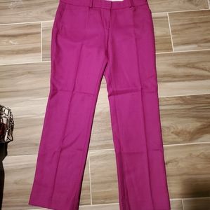 Loft 10P Wool Blend Fuchsia Pants